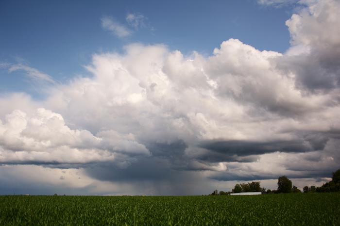 Ukkoskuuropilvi Lakeudella sadekuurot näkyvät jo kauas.