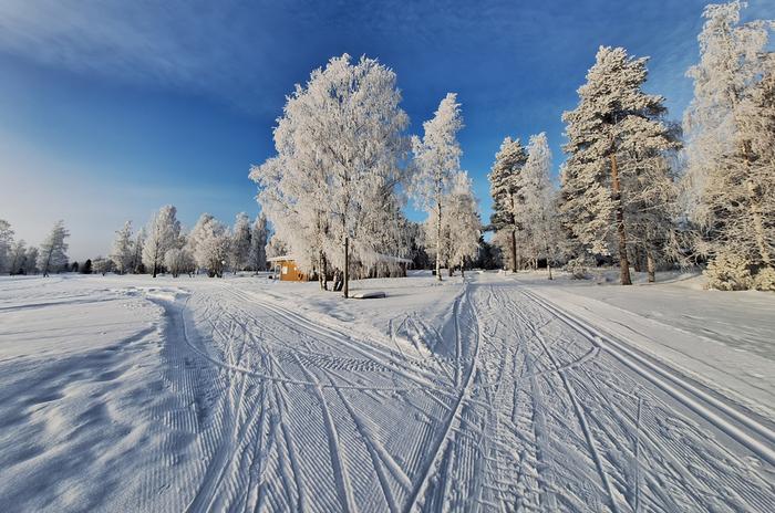 Aurinkoisessa pakkassäässä hiihtoladut ovat kovassa käytössä.