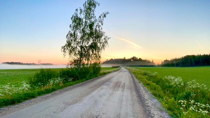 Aamu-usva Aamu-usva nousee Aurajoella.