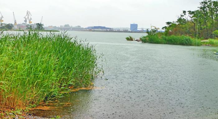 Heinäkuu on alkanut sateisena maan eteläosassa.