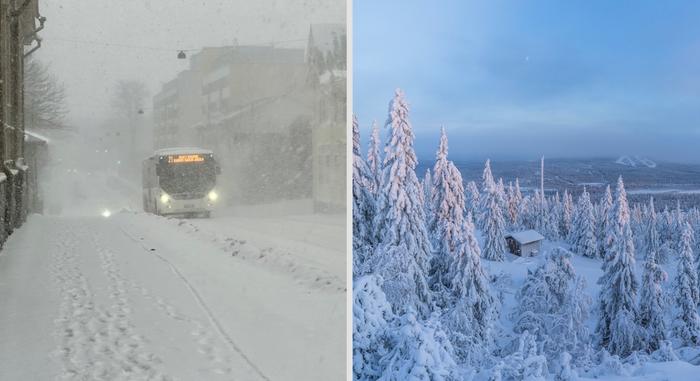 Pyryä ja pakkasta Pyryä ja pakkasta.