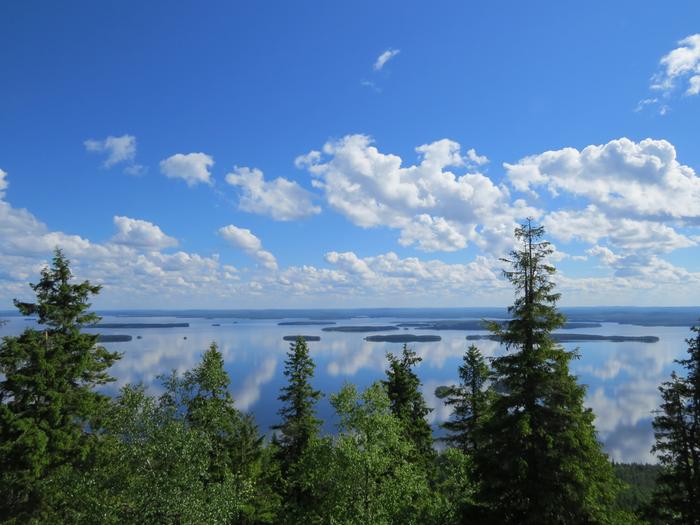 Näkymä Kolilta aurinkoisena kesäpäivänä.