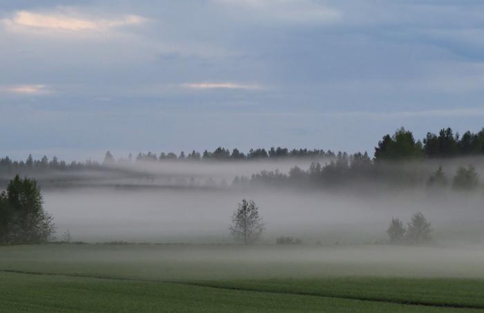 Evening fog Often fog forms close to the ground, as long wave radiation escapes the ground and the air just above it cools down.