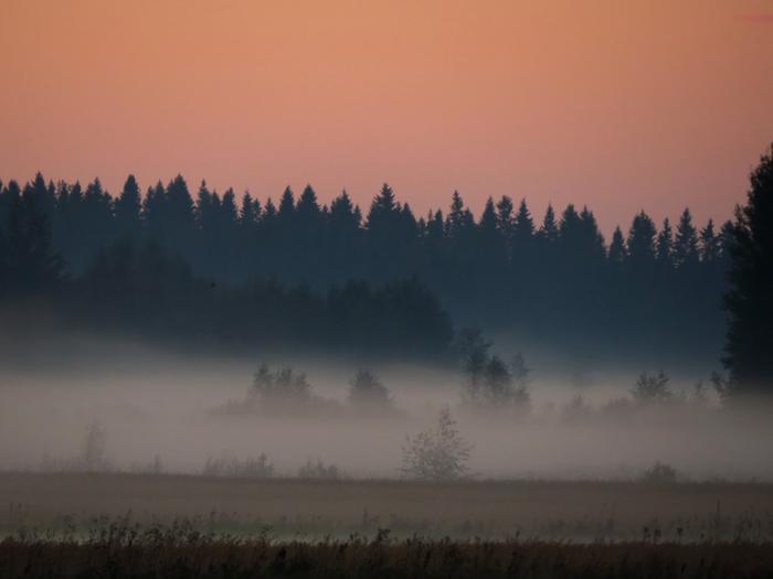 Illalla lämpötila laskee ja kosteus voi alkaa tiivistyä sumuksi.